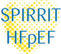 SPIRRIT Logo